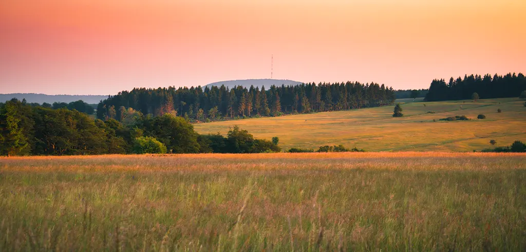 Die Rhön in unmittelbarer Nähe...