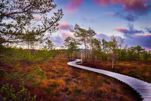 schwarzes-moor-rhoen_original