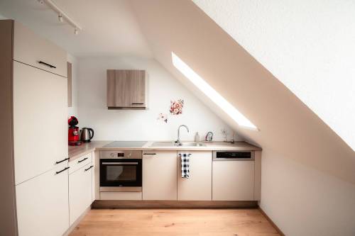 ferienwohnung-bad-kissingen-stadtblick_07_original