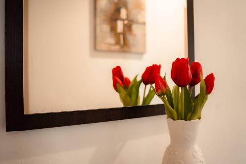 ferienwohnung-bad-kissingen-thermennaehe_13_original