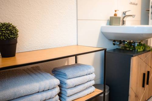 ferienwohnung-bad-kissingen-stadtblick_12_original