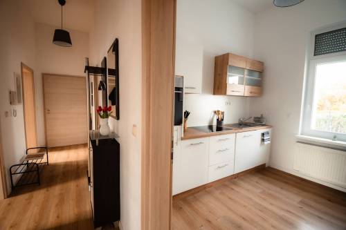 ferienwohnung-bad-kissingen-thermennaehe_12_original